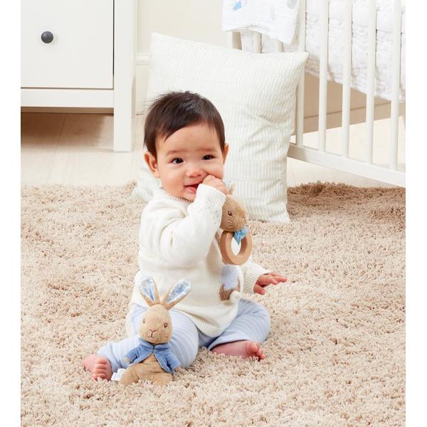 Rainbow Chrastítko králíček Petr (obrázek 3)