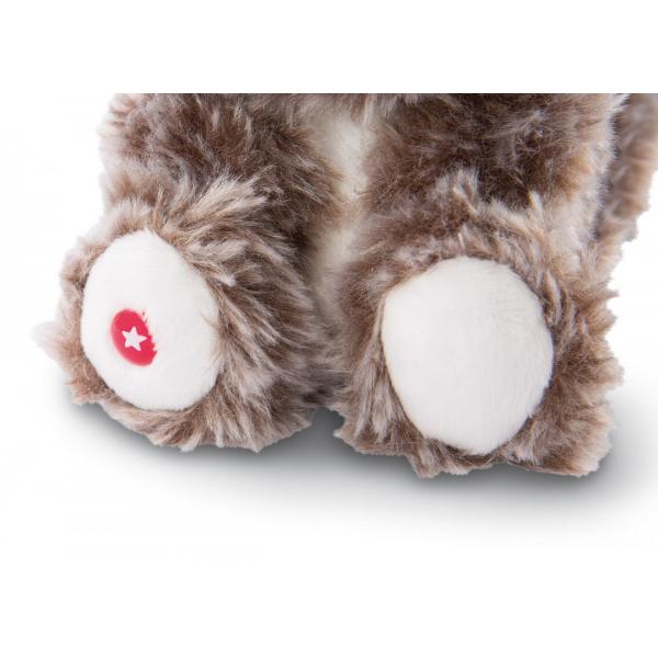NICI Glubschis plyš Medvídek čistotný Clooney 15cm (obrázek 4)