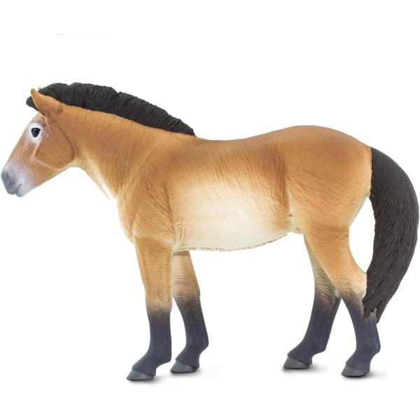 Safari® Kůň Převalského (obrázek 7)