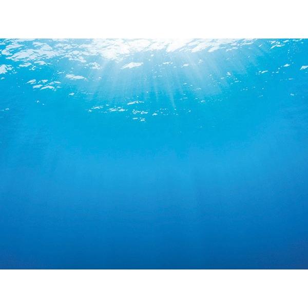 Pozadí Juwel tapeta oboustranná 2 L 100x50cm