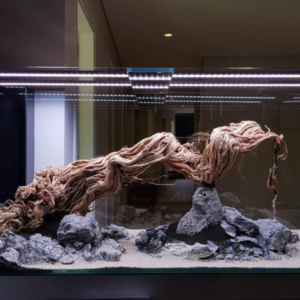 Dragon Wood XXXL 90-120cm 1 kus (obrázek 4)