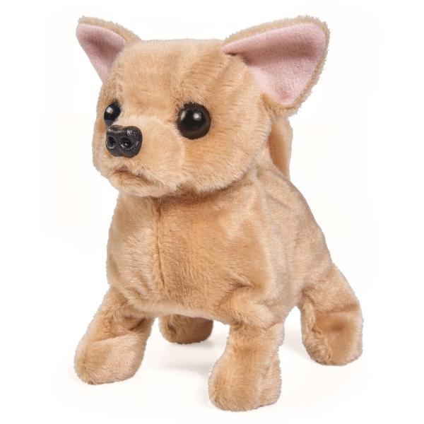 CCL Čivava štěně