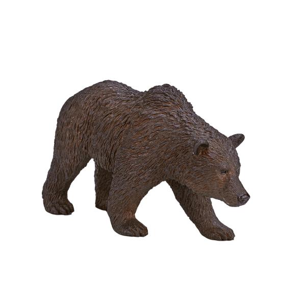 Mojo Medveď grizzly