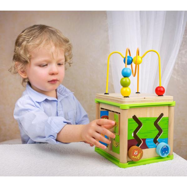 Bino Motorická kostka 5v1