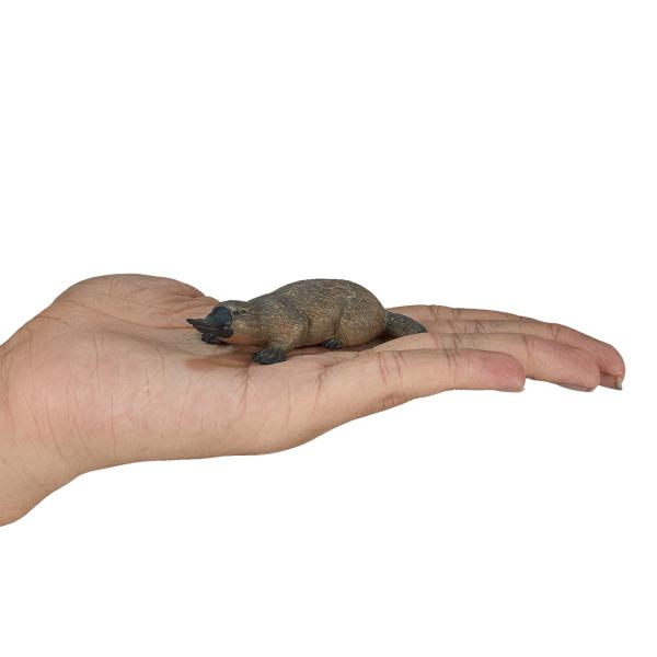 Mojo Ptakopysk podivný (obrázek 3)