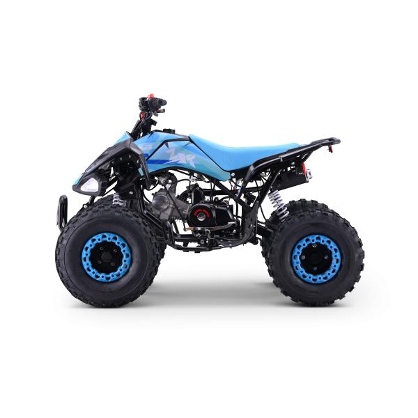 Benzínová čtyřkolka pro děti Beneo Motors ZXT modrá - 125cm3 (obrázek 3)