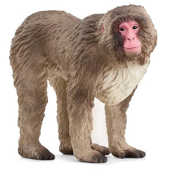 Schleich Makak červenolíci