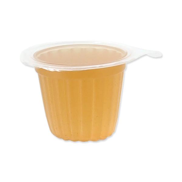 Krmivo Repti Planet Jelly Pots Mixed 8ks (obrázek 4)
