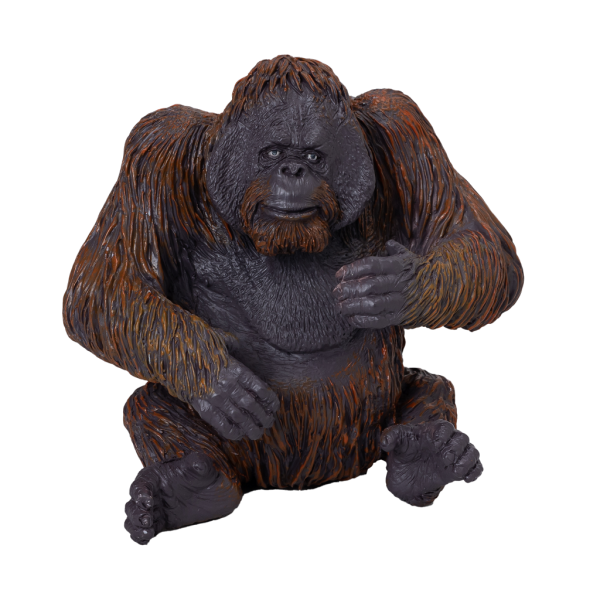 Mojo Orangutan (obrázek 4)