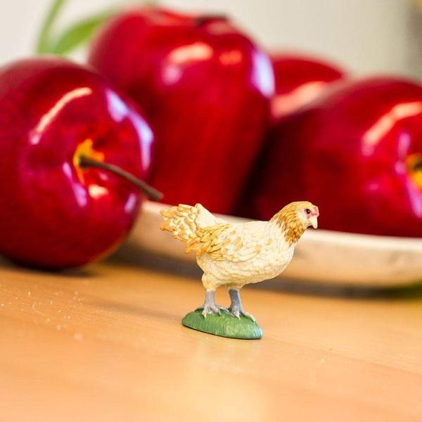 Safari® Slepice Ameraucana (obrázek 4)