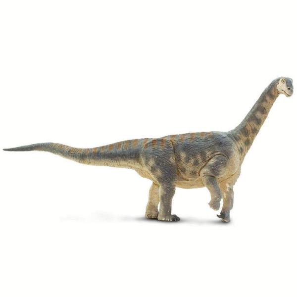 Safari® Camarasaurus dinosaurus