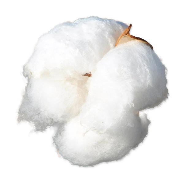 Materiál Small Animals hnízdící bavlna