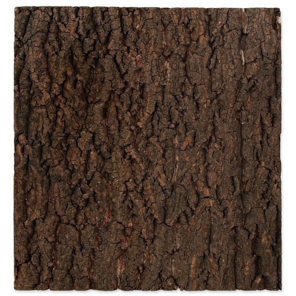 Sfondo Repti Planet sughero naturale 43,5x41x2cm