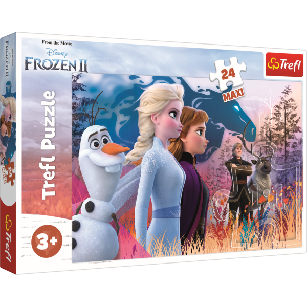 Trefl Puzzle 24 Maxi Kouzelný výlet Disney Frozen 2