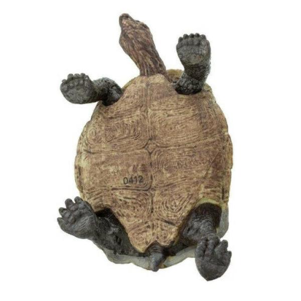 Safari® Želva pouštní (obrázek 3)