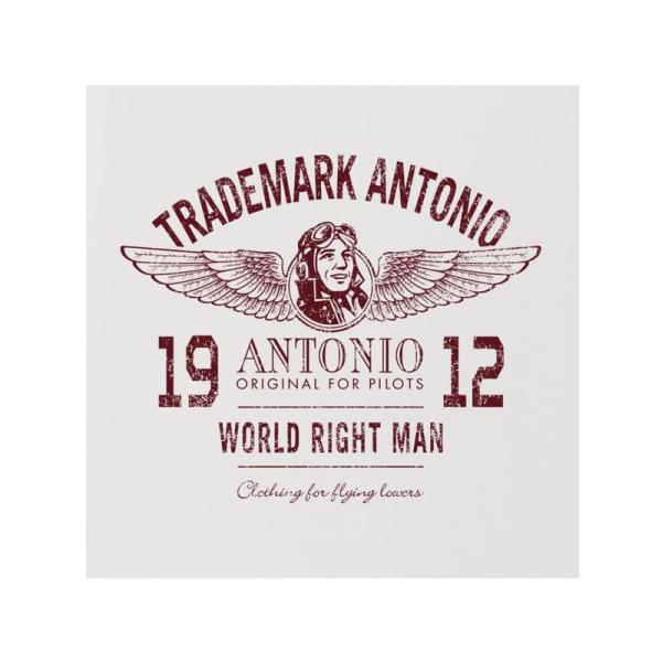 Antonio pánské tričko 1912 XXL (obrázek 4)