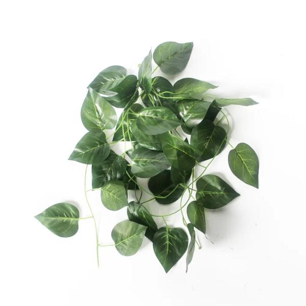 Závěsná rostlina pro terárium tmavě zelená