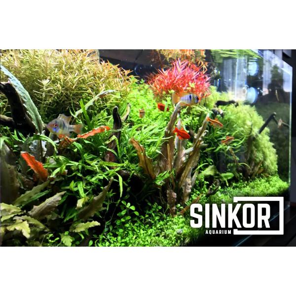 Sinkor LED II 15 cm WRB 5W s Wifi LED Control (obrázek 4)
