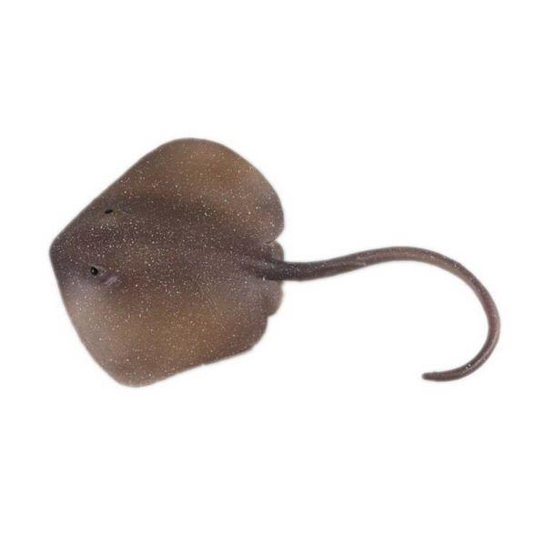 Figurka Raja Trnucha východní 18,5 cm