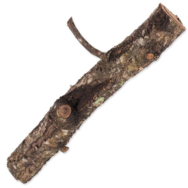 Dekorace Repti Planet Korková větvička S 15-30 cm