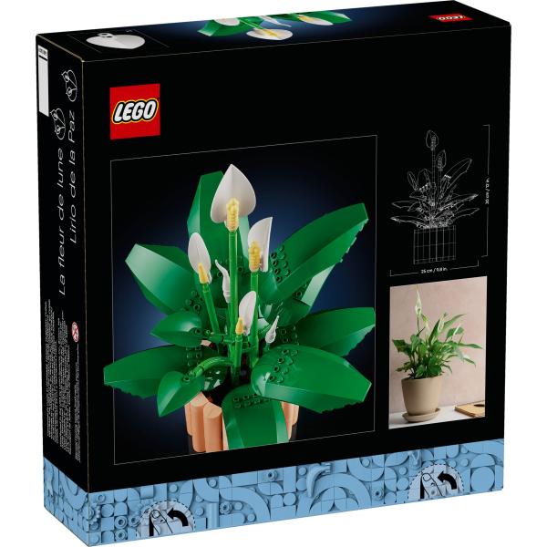 LEGO® Botanicals 11504 Toulcovka (obrázek 10)