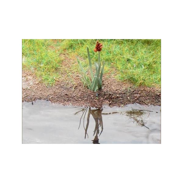 Aqua Magic 250ml (obrázek 3)