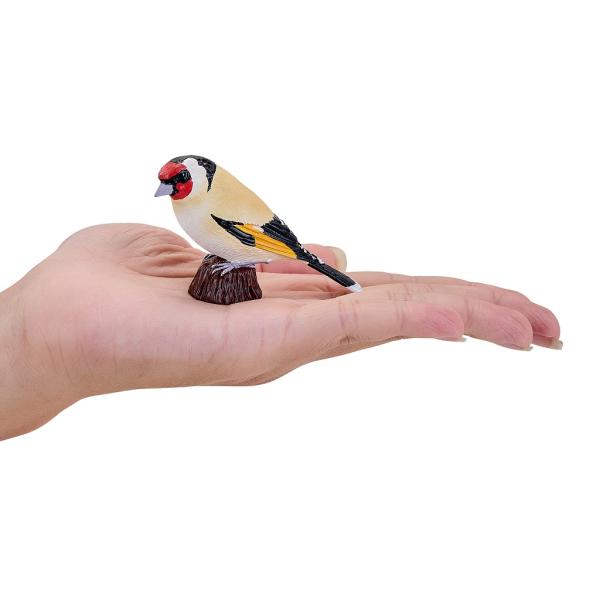 Moje Stehlík obecný (obrázek 5)