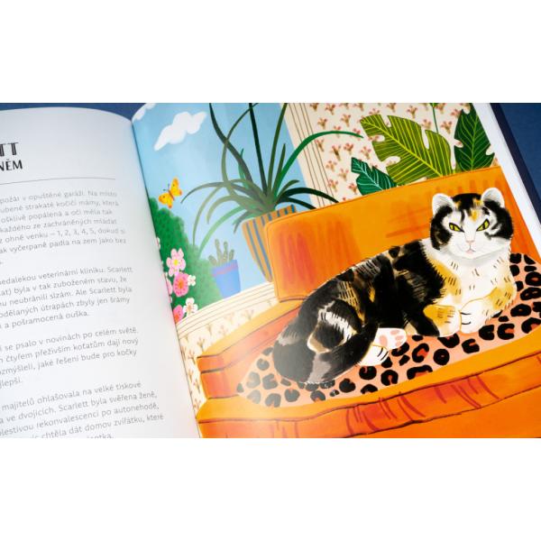Kočky v akci! – Nevídané kočičí příběhy