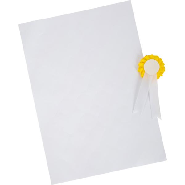 Small foot Sada péče o koně s taškou (obrázek 4)