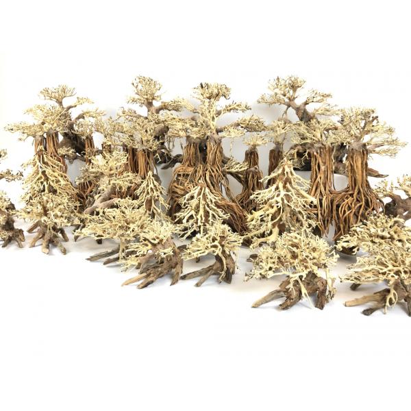 Bonsai Driftwood 15 x 12 x 13 cm č. 13