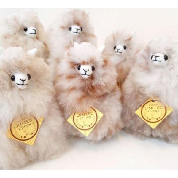 Plyšová hračka Alpaca Limited edition MINI SNOW LEOPARD