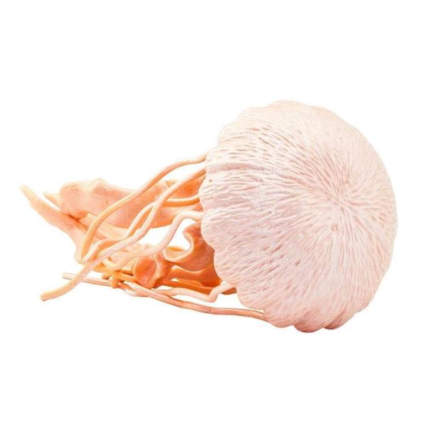 Safari® Medúza žahavá (obrázek 4)