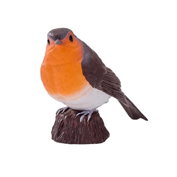 Moje Červenka obecná