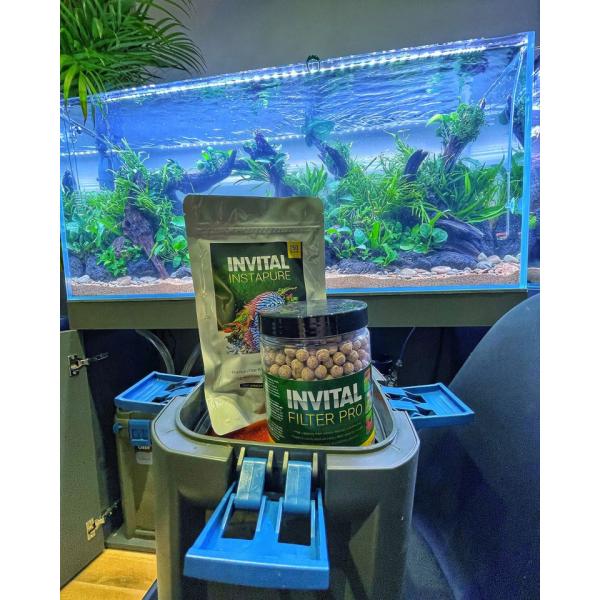 INVITAL Filter PRO 1000ml