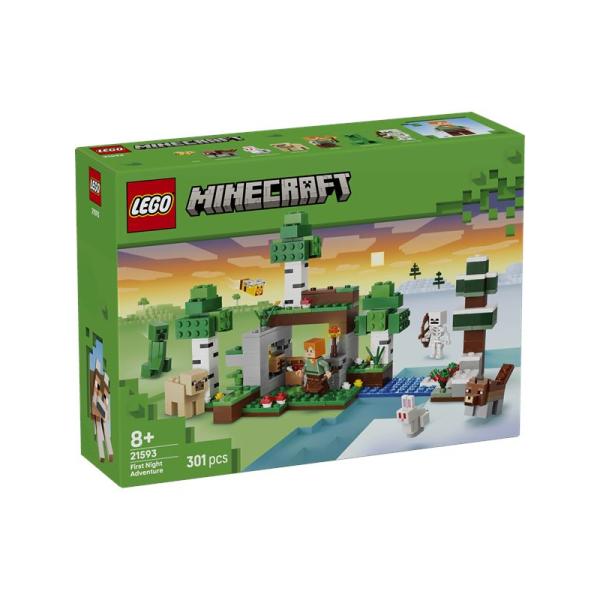 LEGO® Minecraft™ 21593 První noční dobrodružství (obrázek 3)