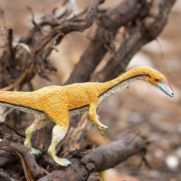 Safari® Coelophysis dinosaurus