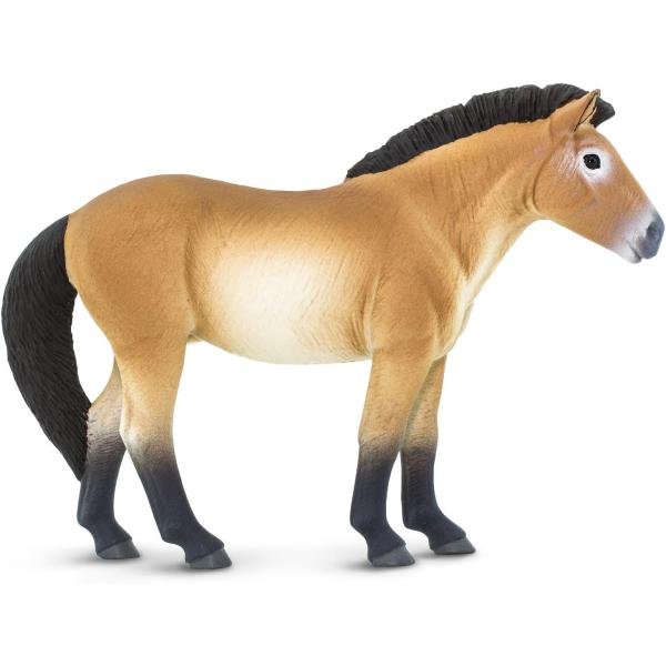 Safari® Kůň Převalského (obrázek 3)