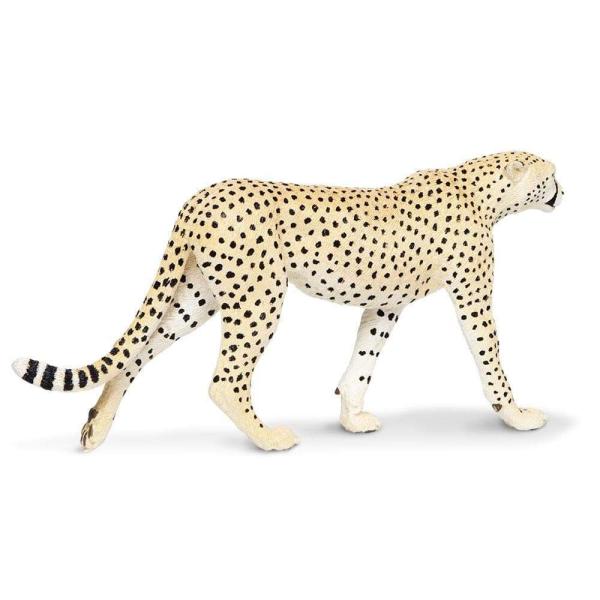 Safari® Gepard (obrázek 3)