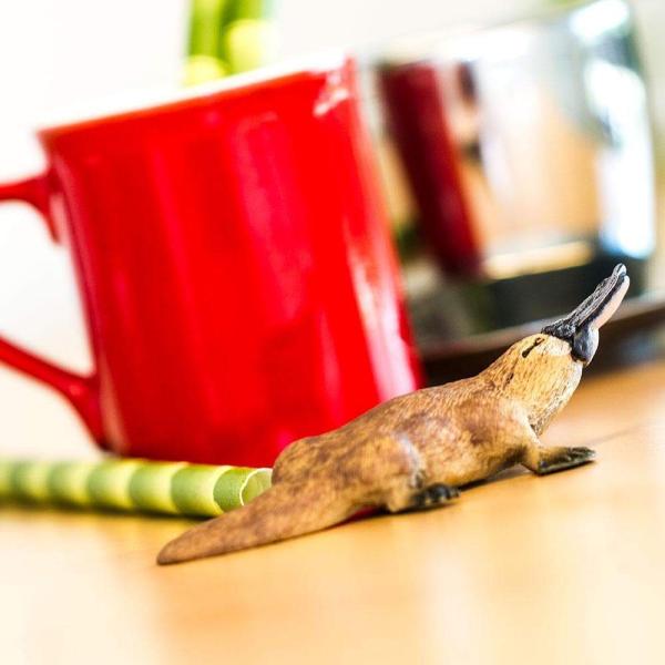 Safari® Ptákopysk (obrázek 5)