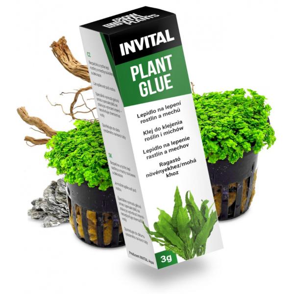 INVITAL Plant Glue - lepidlo na rastliny a machy