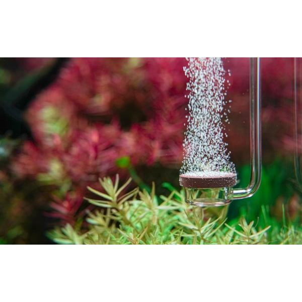 CO2 difuzor Neo Original M (obrázek 3)