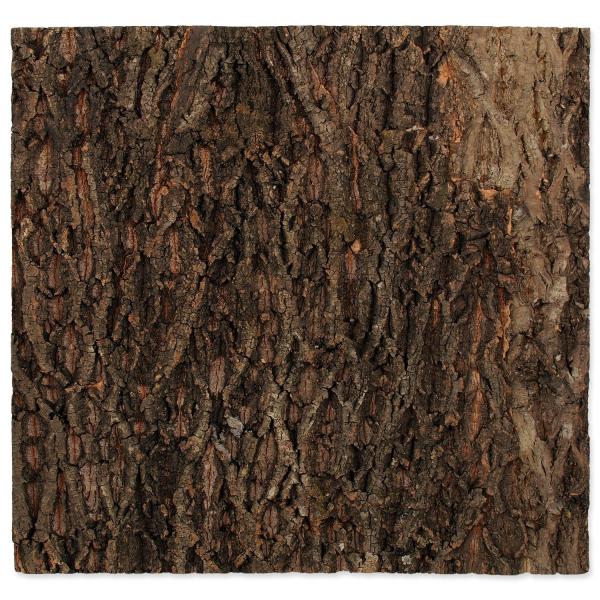 Sfondo Repti Planet sughero naturale 58,5x56x2cm