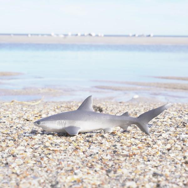 Safari® Žralok šedý útesový (obrázek 8)