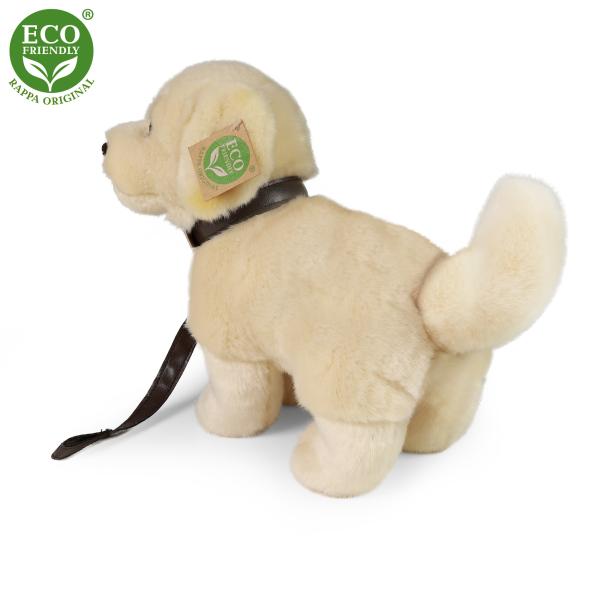 Plyšový pes zlatý retrívr stojící s vodítkem 25 cm ECO-FRIENDLY (obrázek 4)