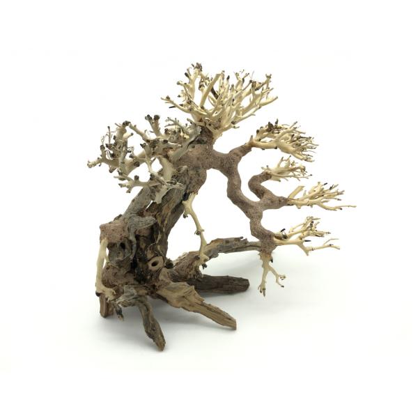 Bonsai Driftwood 25 x 20 x 23 cm N.82