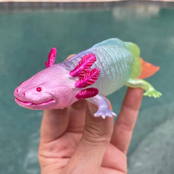 Safari® Axolotl mexický duhový (obrázek 4)