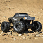 PRO1030010-04.jpg