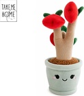take-me-home-jablon-plysova-30cm-0m.jpg