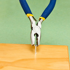 PPL6001_Nail.jpg