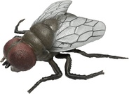 Živá příroda: House Fly - realistický model mouchy (11,5 cm)